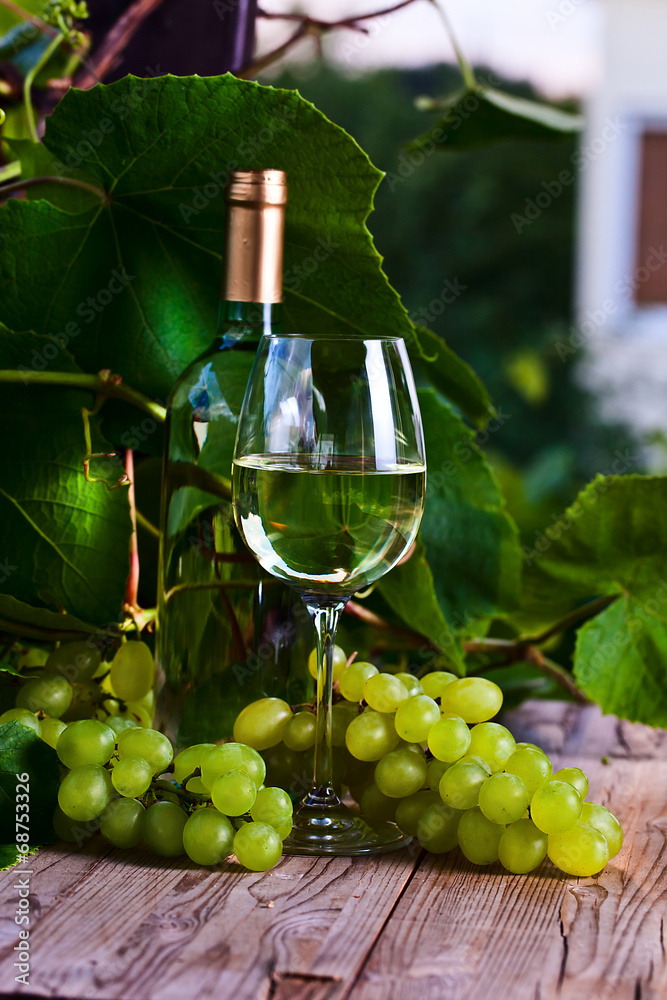 green grape and white wine in vineyard
