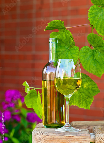 white wine in vineyard