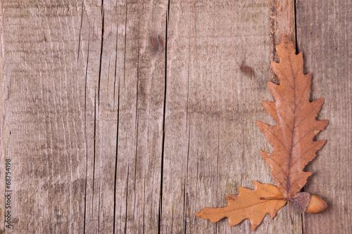 Autumn background of leaves over wooden surface