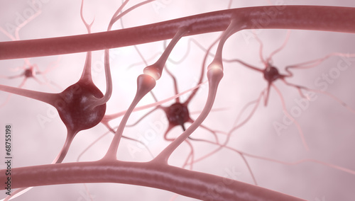 Neuronen, Nervenzellen, Synapsen - 3D Illustration