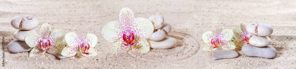 Fototapeta premium Panorama z orchideami i kamieniami zen w piasku