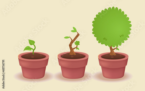 Young plant growing