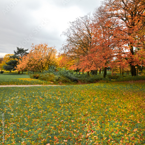 Autumn Landscape.