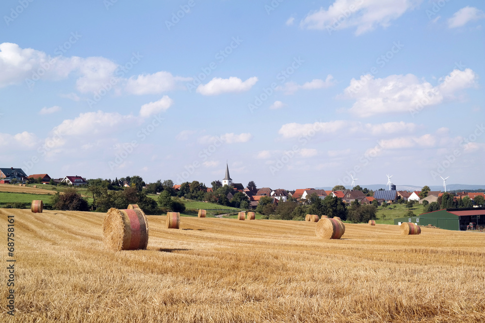 Fototapeta premium Erntezeit im Weserbergland