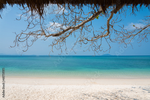 Fototapeta Naklejka Na Ścianę i Meble -  sand beach branches blue sky