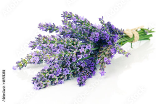 Bunch of lavender on a white background.