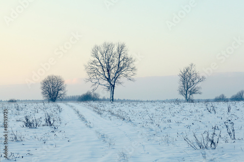 Winter snow trees © kichigin19