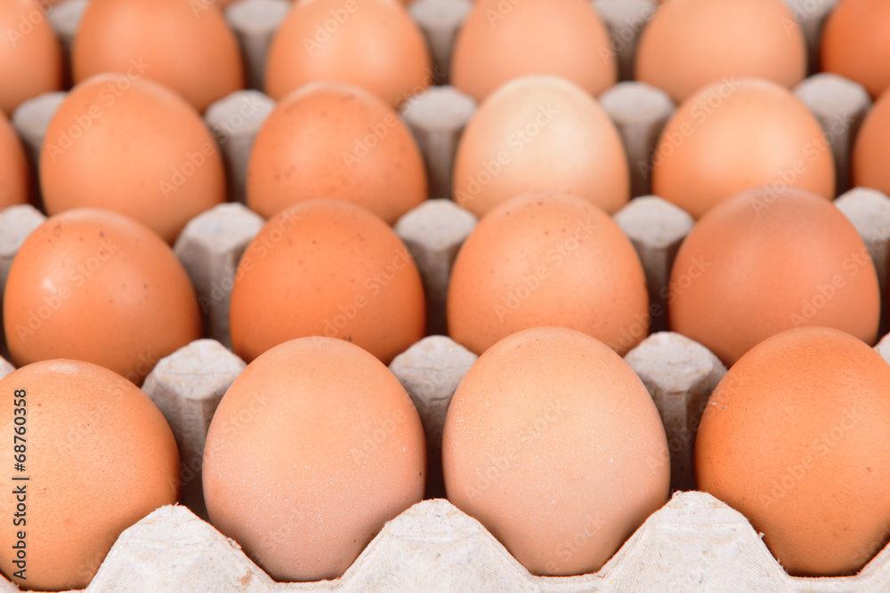 Eggs in paper tray close-up Eggs in paper tray close-up