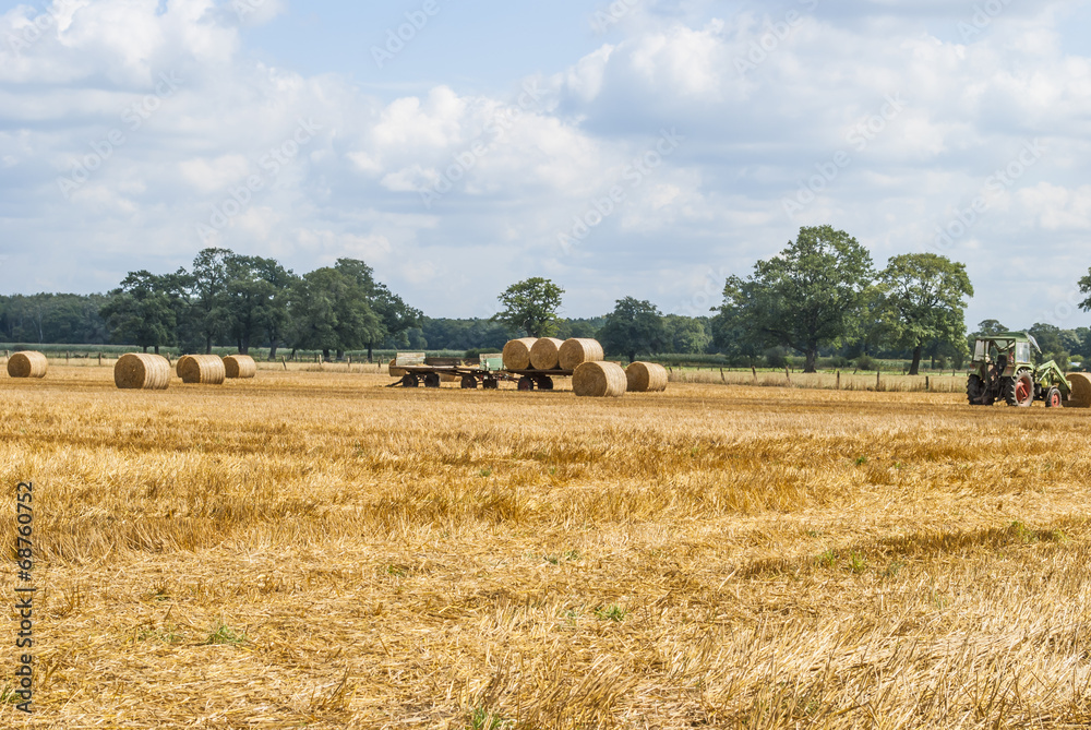Fototapeta premium Tractor collecting hay bales
