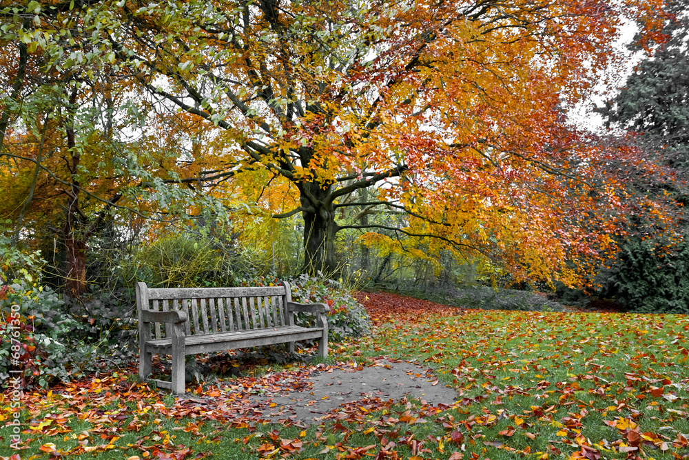 Bench in autumn park.
