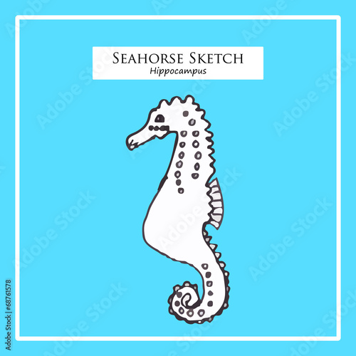 Hand-drawn seahorse sketch on blue background