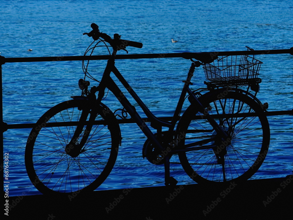 Fototapeta premium bicycle lake silhouette