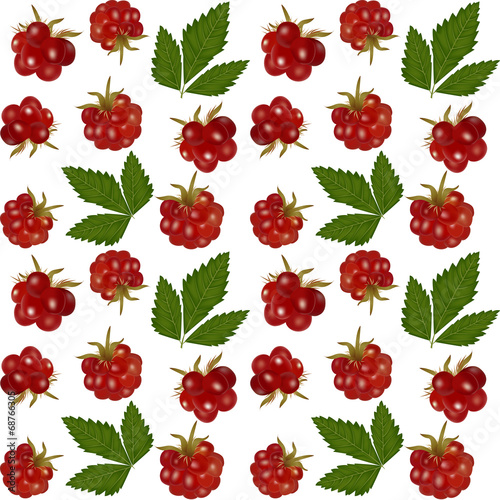 arctic bramble
