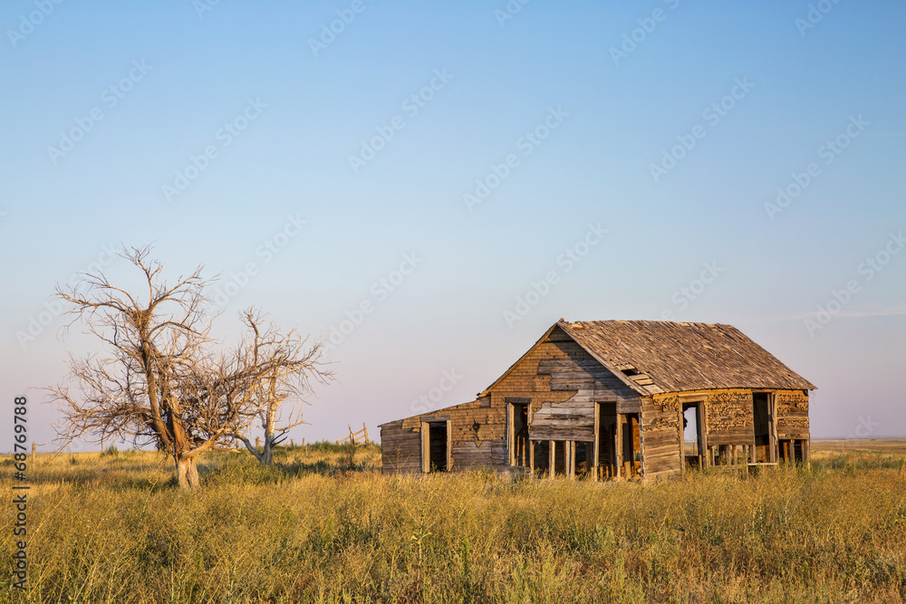 Fototapeta premium old homestead on prairie