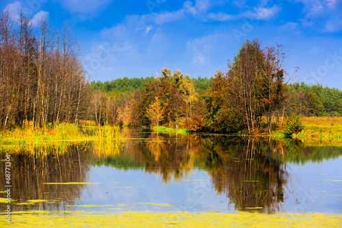 autumn scene on lake