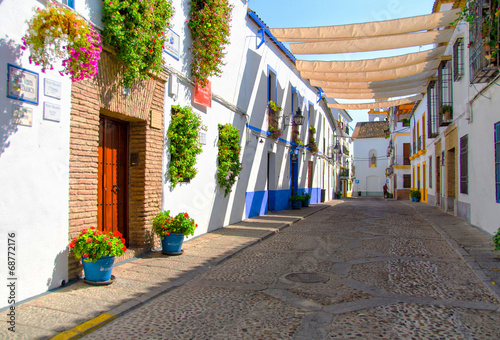 Street with flowers in Cordoba (Calleja de las Flores) photo