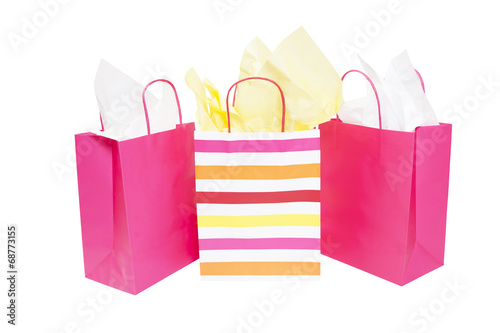 Shopping Gift Bags