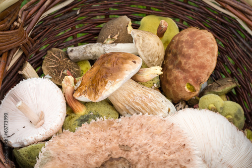 Fototapeta Wicker basket with mushrooms