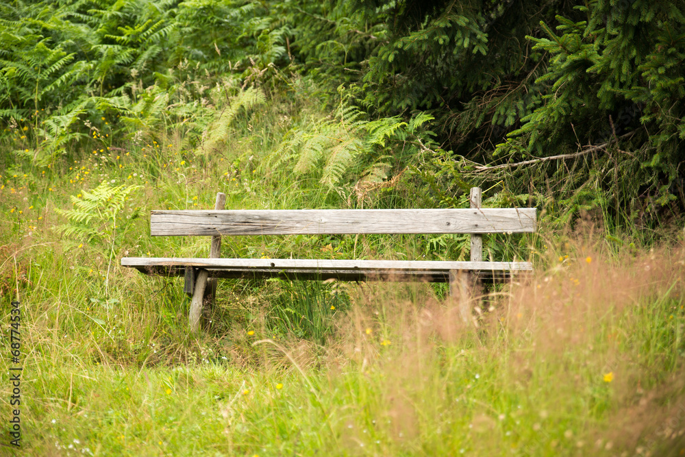 Fototapeta premium Bench