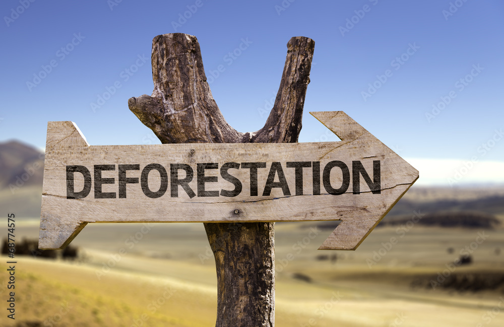 Deforestation wooden sign with a desert background