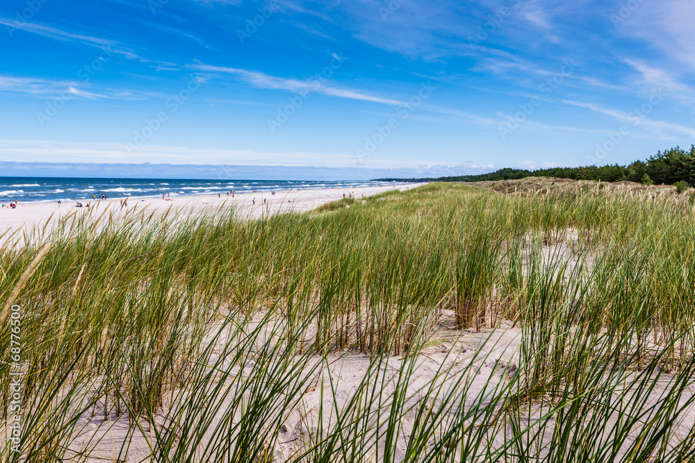 Moving dunes park near Baltic Sea in Leba, Poland Moving dunes park near Baltic Sea in Leba, Poland