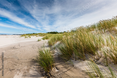 Fototapeta Naklejka Na Ścianę i Meble -  Moving dunes park near Baltic Sea in Leba, Poland