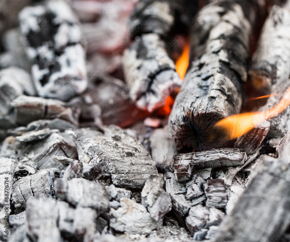 Campfire with burning firewood on foreground closeup Campfire with burning firewood on foreground closeup
