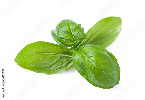 Fresh basil leaves.