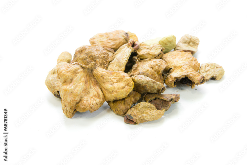 Terminalia chebula Retz. var chebula on white background Terminalia chebula Retz. var chebula on white background