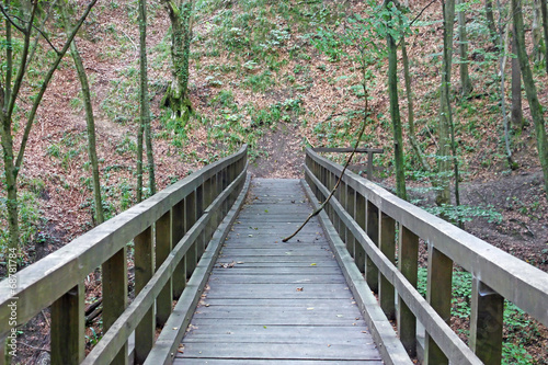 Wood bridge