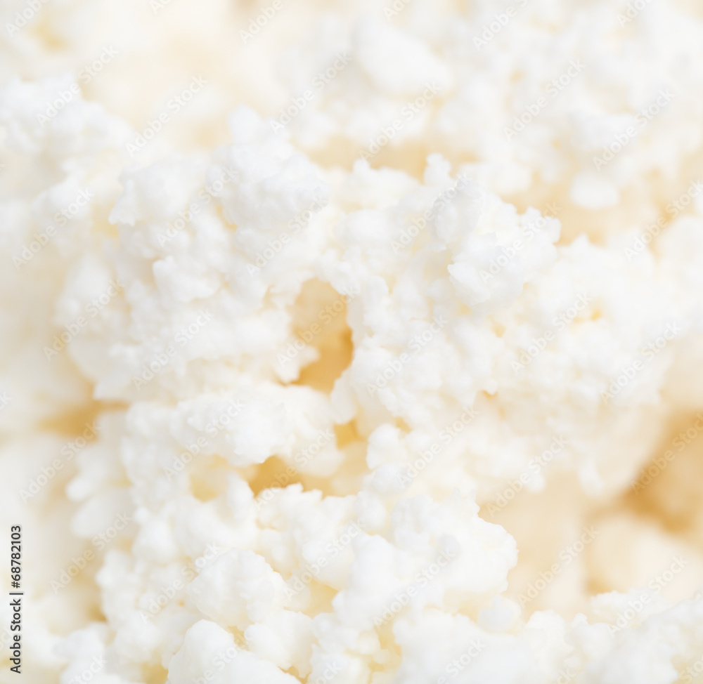 white curd as background. macro white curd as background. macro