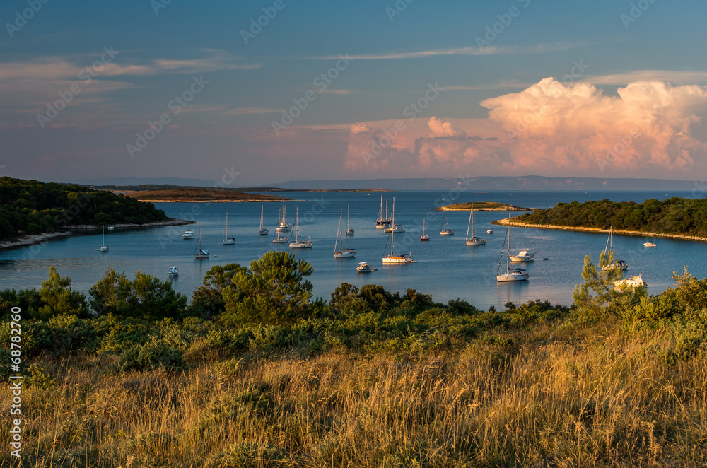 Fototapeta premium The bay in Kamenjak