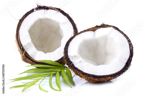 Coconuts with leaves on a white