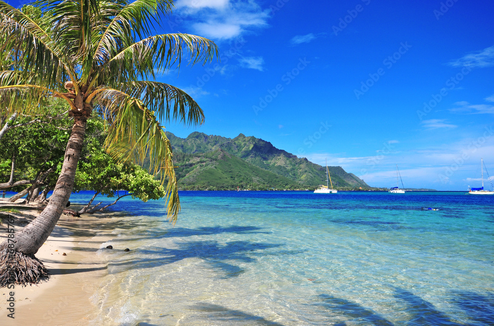 Turquoise waters off Moorea in Tahiti, French Polynesia - obrazy, fototapety, plakaty 