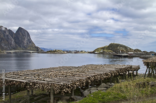 Stockfischgestelle auf den Lofoten photo