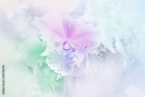 Tropical Flowers in soft pastel tone.