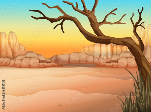 A desert with a tree without leaves