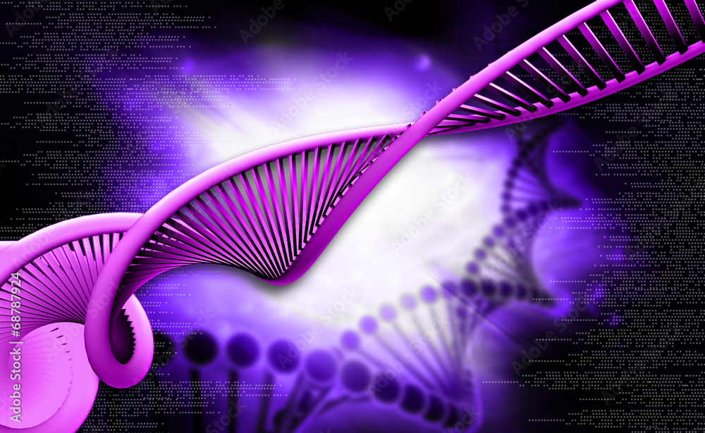 dna dna