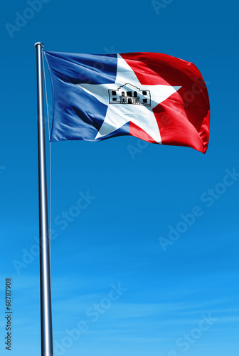 San Antonio (USA) flag waving on the wind