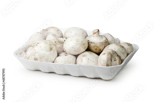 mushroom with white background