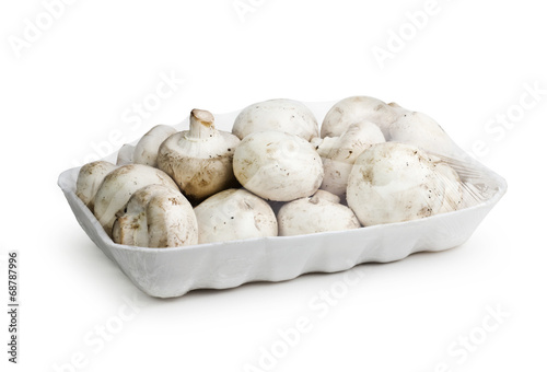 mushroom with white background
