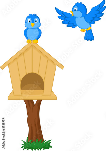 Birds and bird houses