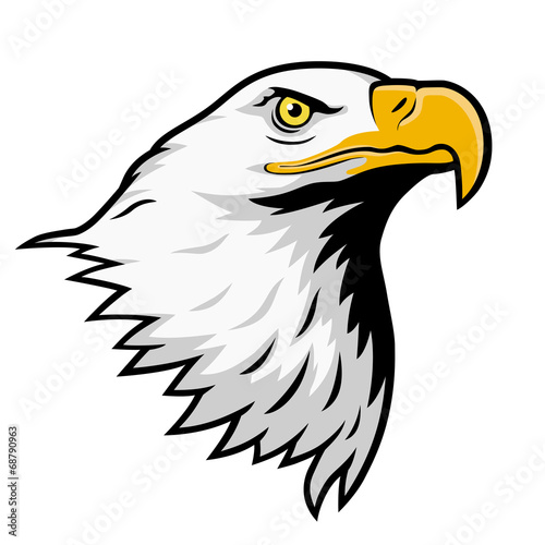 Tableau sur toile Pygargue à tête blanche, aigle américain, version couleur.