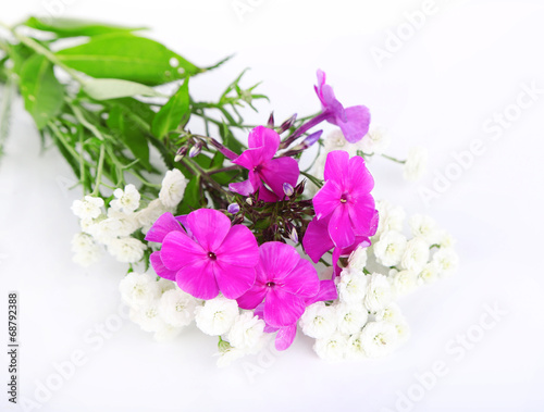 Flowers isolated on white
