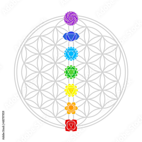 Flower of Life Chakras White