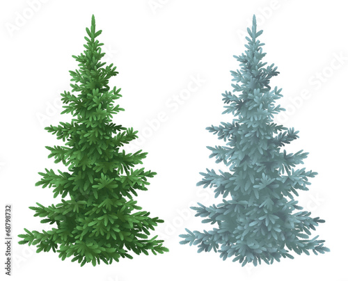 Fotografia Christmas green and blue spruce fir trees