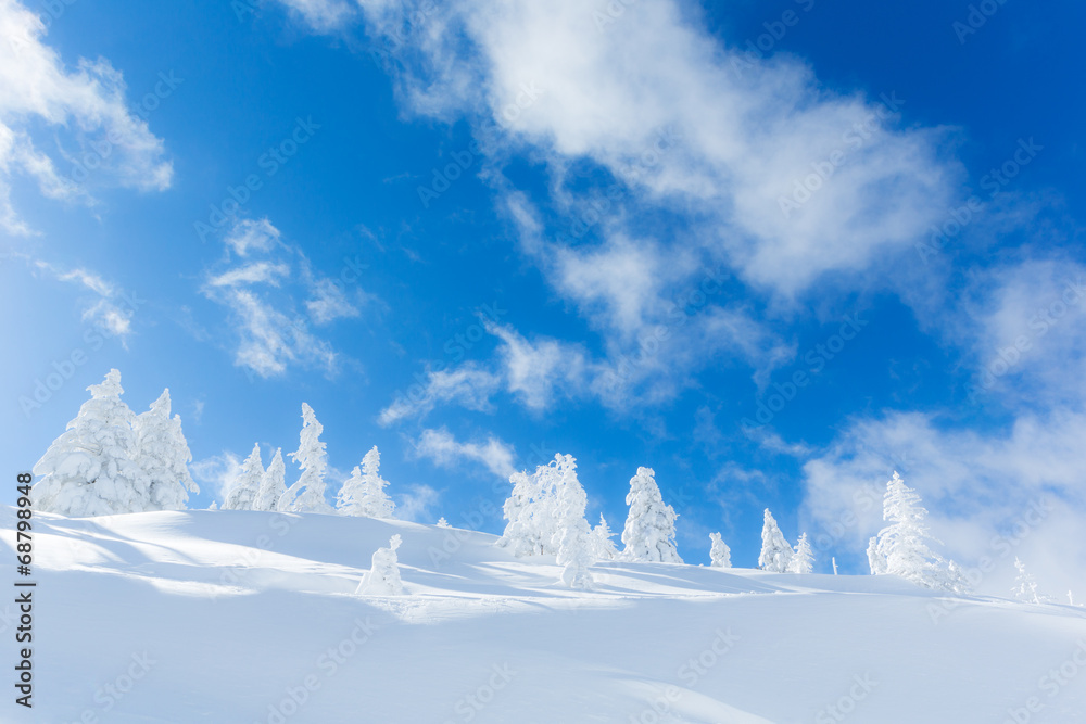 Naklejka premium 雪景色 樹氷