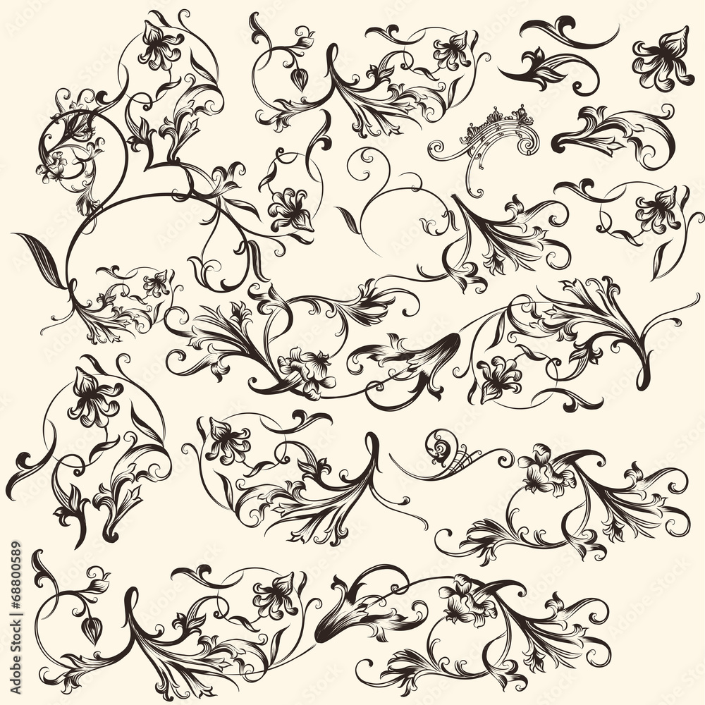 Fototapeta premium Collection of vector swirl flourishes for design
