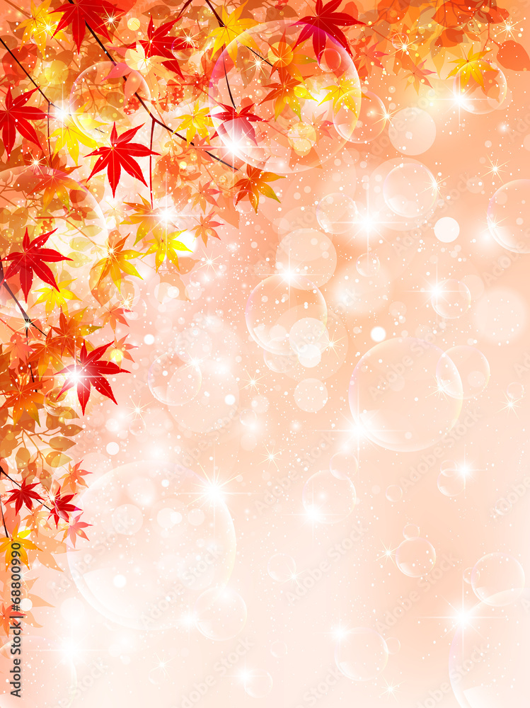 もみじ 紅葉 背景 もみじ 紅葉 背景
