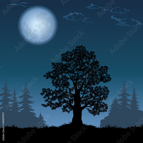 Landscape with oak tree and the moon © oksanaok